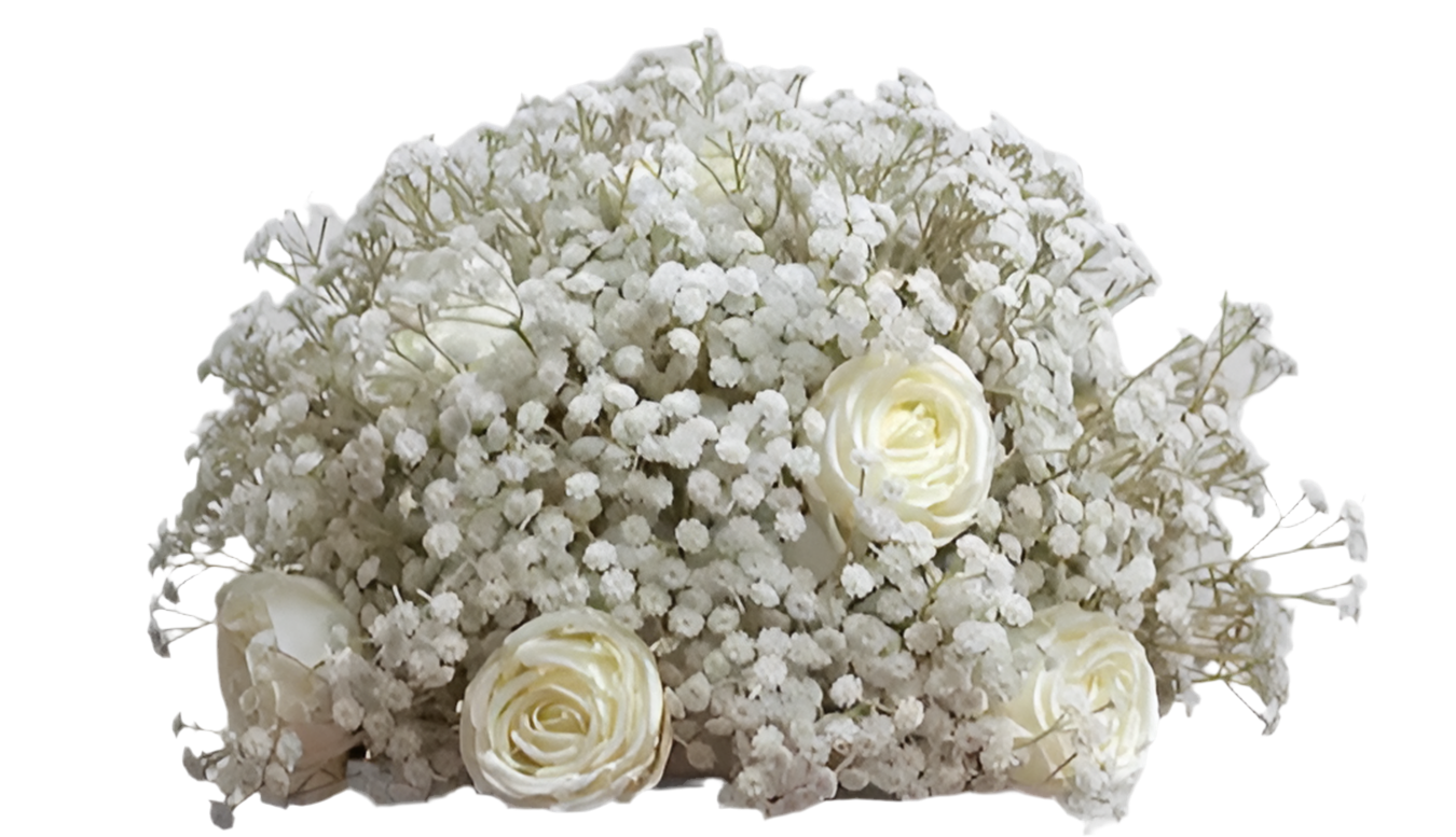 Boule de gypso 40cm