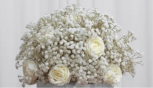 Boule de Gypsophile Ma boutique